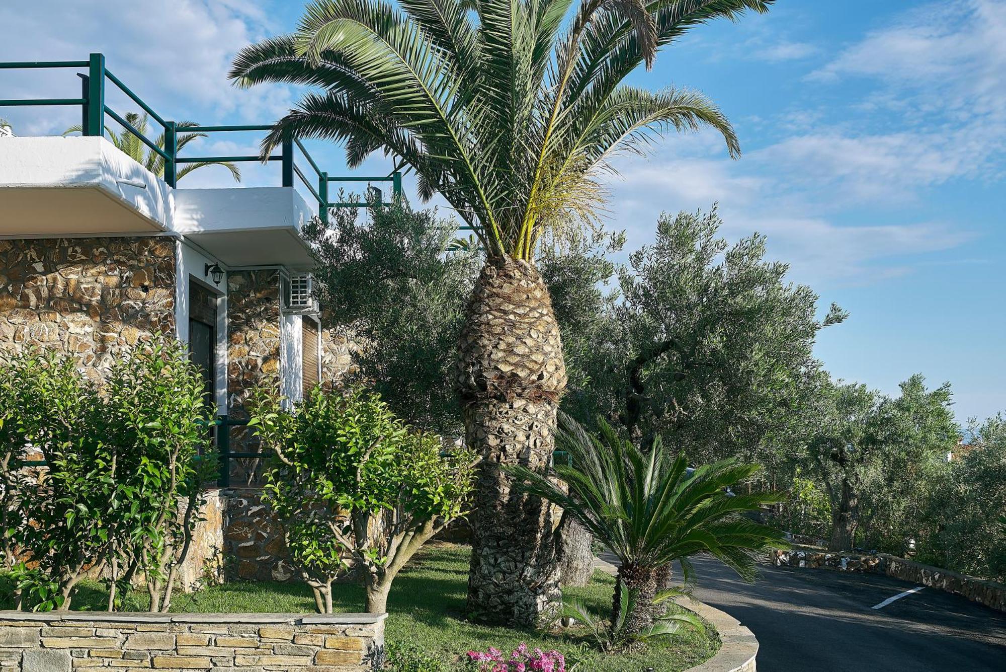 Glavas Inn Hotel Gerakini Exterior photo